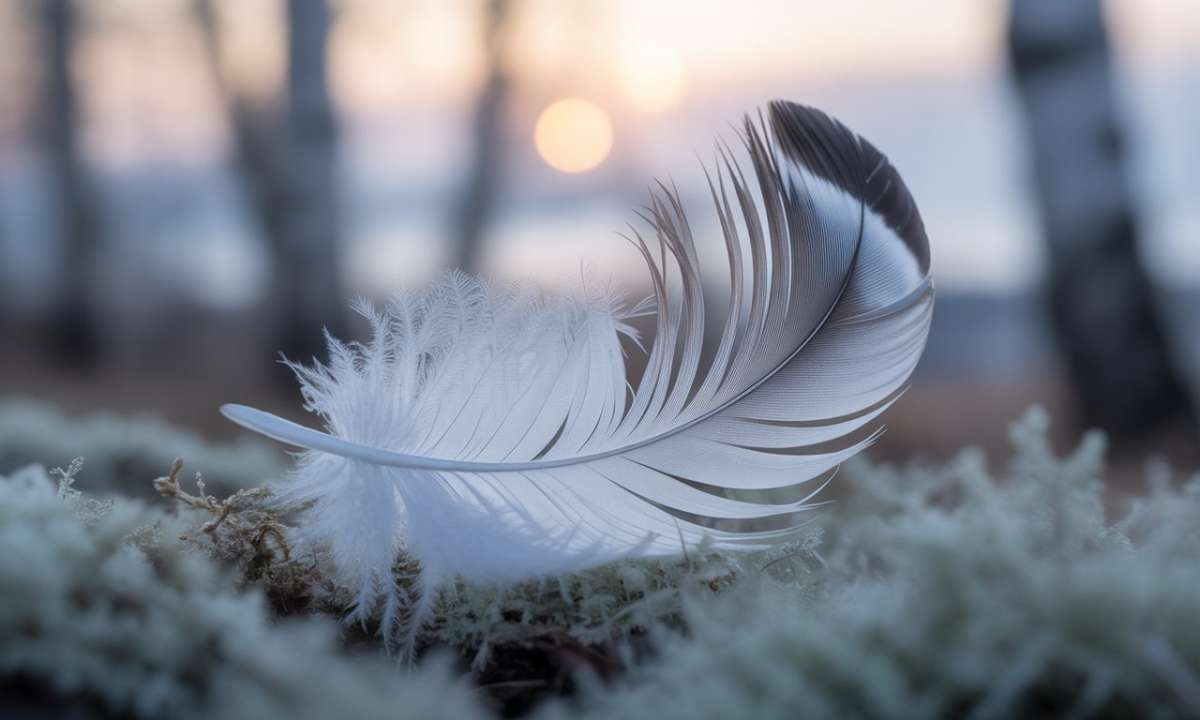 découvrez la signification amoureuse détaillée des plumes blanches et grises, et ce qu'elles révèlent sur vos relations et émotions.