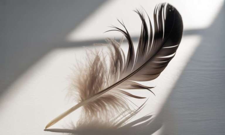 découvrez la signification spirituelle des plumes noires et explorez si leur apparition est un message de l'univers ou une simple coïncidence.