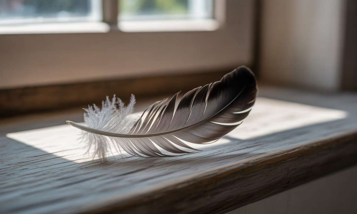 découvrez la signification mystique des plumes noires : message spirituel profond ou simple hasard ? explorez les interprétations et les croyances autour de ce phénomène intrigant.