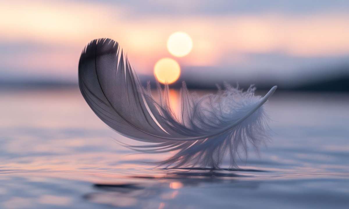 découvrez la signification spirituelle et symbolique de la plume grise, un symbole de sagesse, de protection et de guidance intérieure.