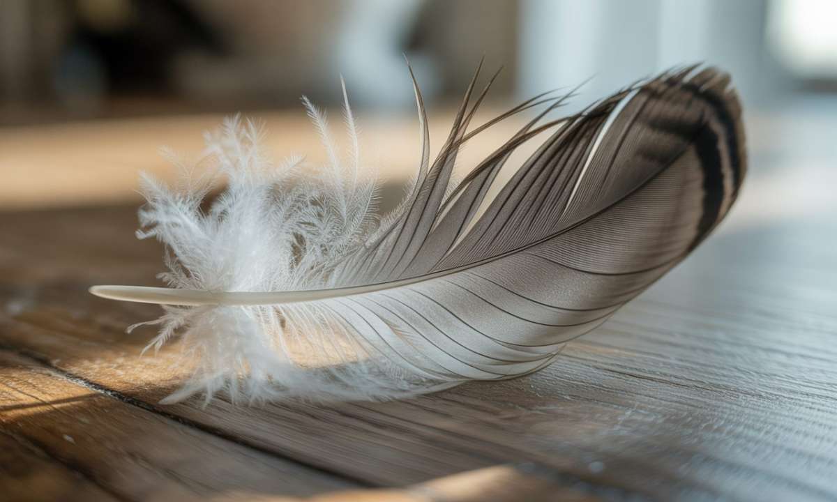 découvrez la signification spirituelle et symbolique de la plume grise, un symbole de paix, de sagesse et de connexion avec le monde spirituel.